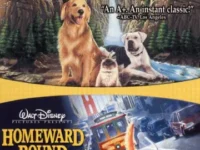 Homeward Bound (2025) – Full Review, Cast, Storyline, Facts & FAQs