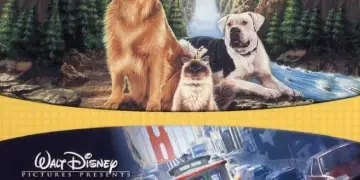 Homeward Bound (2025) – Full Review, Cast, Storyline, Facts & FAQs