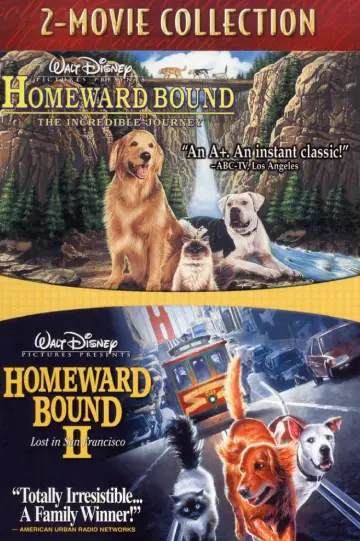 Homeward Bound (2025) – Full Review, Cast, Storyline, Facts & FAQs